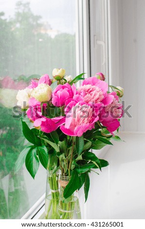 
bouquet of bright pink and light pink peonies in a vase . Flower peony.