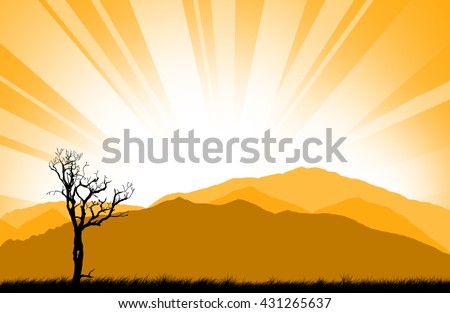 Tree Silhouette.Tree Silhouetted against the setting sun.
