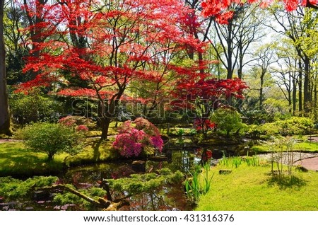 Japanese garden red trees