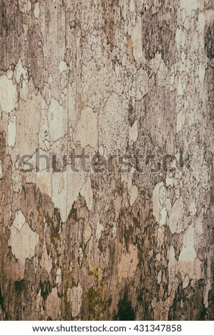 wood Textures