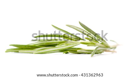 picture of a rosemary isolated on white background