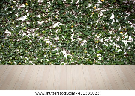 Wooden floor with ivy wall for background.