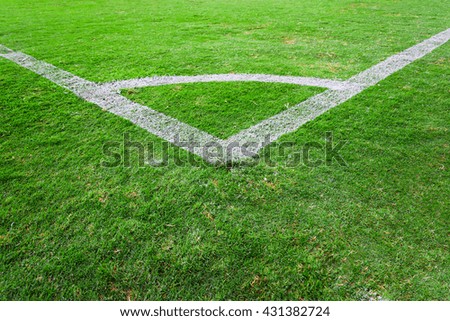 white line on green grass texture background