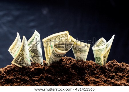American dollars grow from the ground