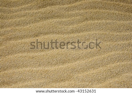 background made of a close-up of the sand