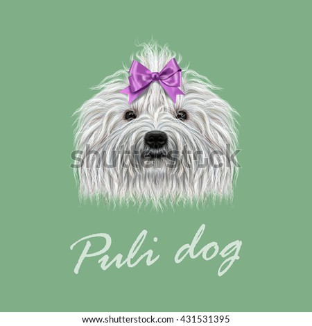 Vector Illustrated Portrait of Puli dog. Cute curly white  face of domestic dog on green background.