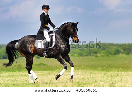 Dressage rider on bay horse galloping in field Royalty-Free Stock Photo #431650855
