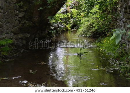 A beautiful scene comprising of a water stream surrounded by greenery and foliage under a iconic stone bridge in the english countryside on a british summers day