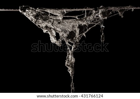 cobweb or spider web isolated on black background copyspace