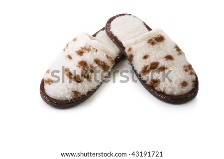 Picture of leopard slippers isolated over white