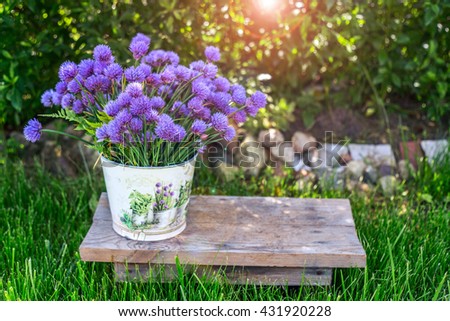 Garden pail with purple flowers with greens and herbs background