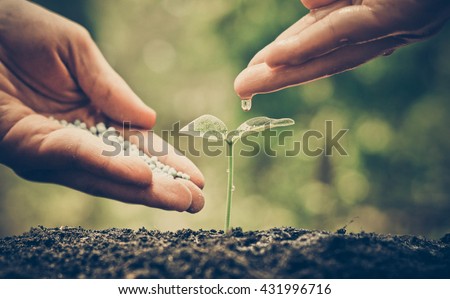 Agriculture / Nurturing baby plant / protect nature / planting tree Royalty-Free Stock Photo #431996716