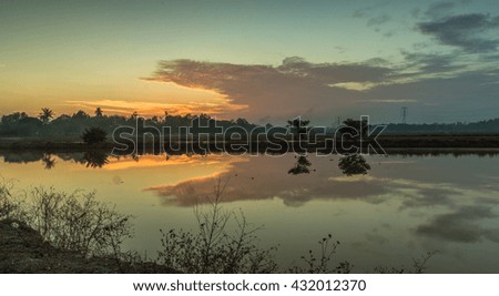 Sunrise Reflection at Paddy Field, Malaysia