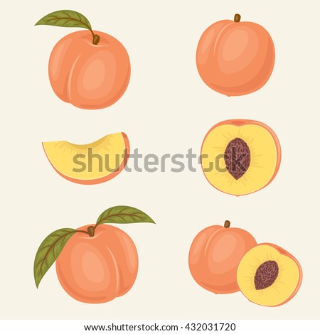Peach icons. Fresh close up peach vector illustrations. Whole, half, slice, with and without leaf