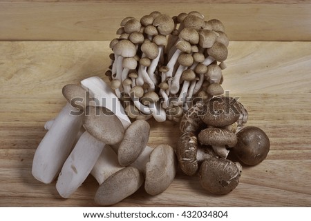 common mushroom.
