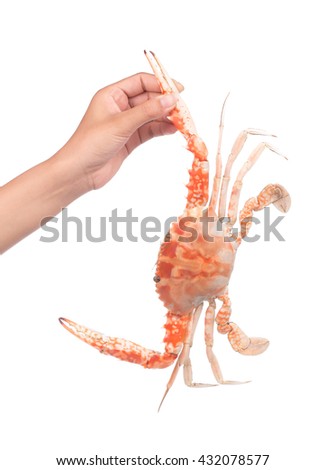 hand holding cooked crab prepared isolated on white background