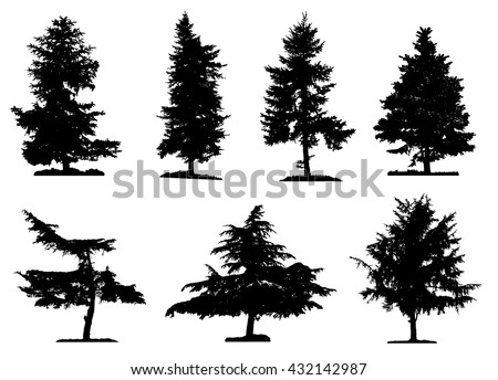 Coniferous trees silhouettes collection on white background , on different layers