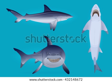 Vector Hungry aggressive and scary shark fish set. Hidden power concept.