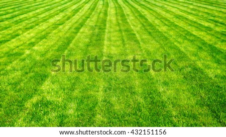 Bowling green cut grass lines background. Stylized painting