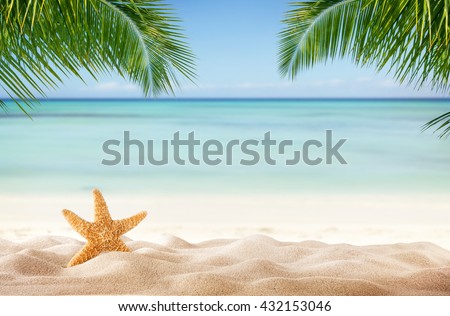 Tropical beach with sea-star in sand, copyspace for text. Concept of summer relaxation Royalty-Free Stock Photo #432153046