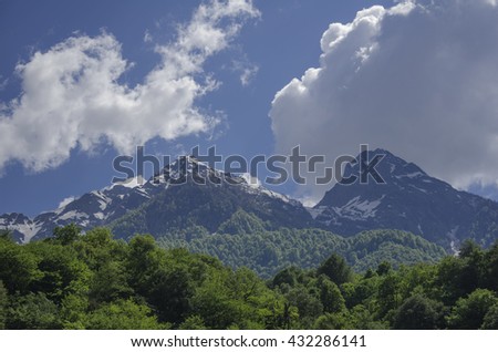 Mountains surrounded by forests. Background. Spaces.