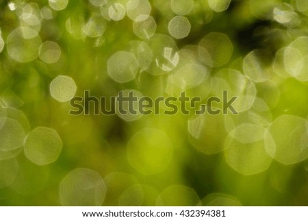 Abstract natural backgrounds grass, bokeh green nature background.
