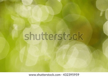 Abstract natural backgrounds grass, bokeh green nature background.