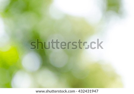 Green bokeh out of focus background