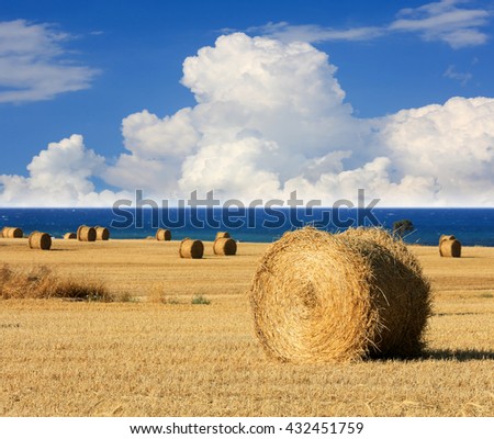 hay roll on meadow under nice clouds in sky

