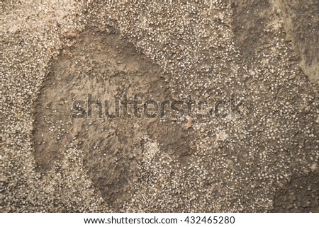 track of dinosaur footprint on concrete path