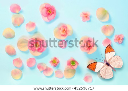 butterfly and petals