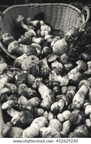 Porcini mushrooms in wicker basket for sale at local organic market in Paris (France). Black and white.