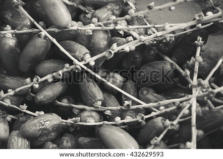 Date fruits at market stall. Black and white photo.