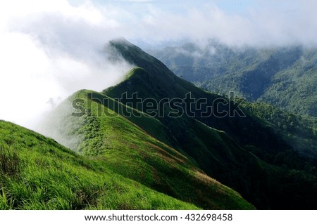 mountain and fog rainy season in thailand
