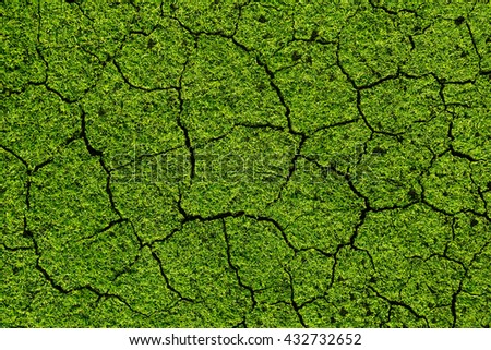 Details of a dried cracked earth soil with green grass textured background. Conceptual global warming copy space.