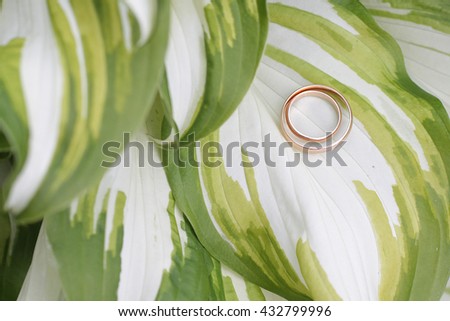 wedding gold rings on large leaves of a plant of a host
