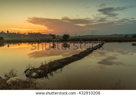 Magnificent Sunset and Reflection  at Paddy Field Malacca, Malaysia