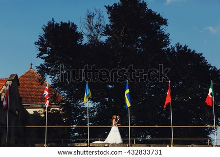 Newlyweds stand among different national flags in the park