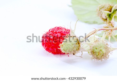 picture of a close-up of the ripe and unripe organic raspberry in studio