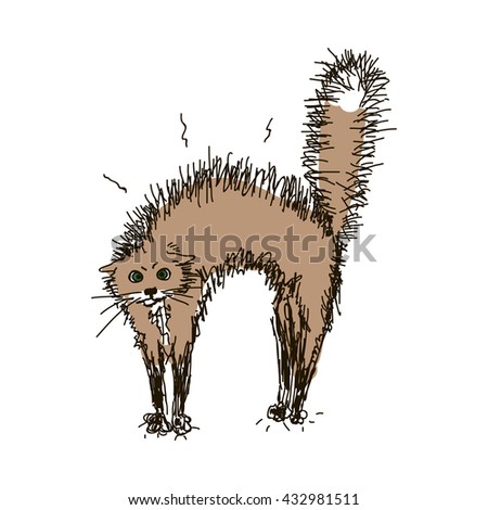 Sketch a cat in a protective pose. Hand-drawn cat arched its back and fluffed tail. Vector illustration