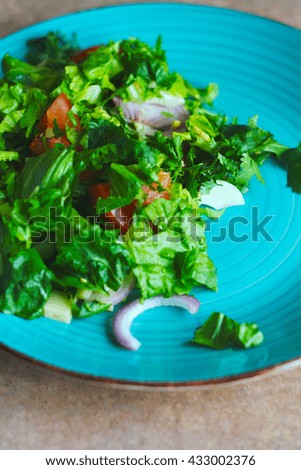 Green salad on the plate with onion, tomatoes and seasoning.