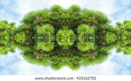 Kaleidoscopic view of green fur tree with cones on cloudy background