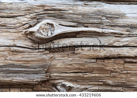 Wooden Background Or Texture With Knothole, Copy Space