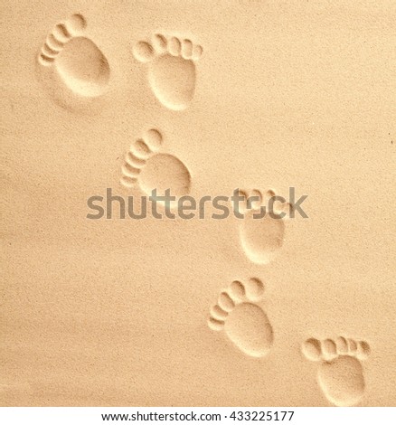 Overhead view of path made by bear or child sized footprints forming a slanted line from one corner to the other
