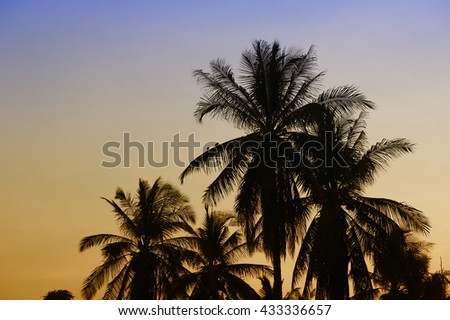 Dramatic stunning morning light sunset and Silhouetted of coconut tree in low light photography.
