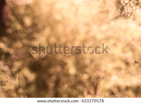 Natural bokeh background with vintage.