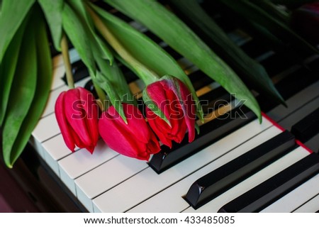 Tulips on the piano