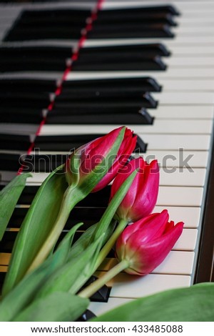 Tulips on the piano