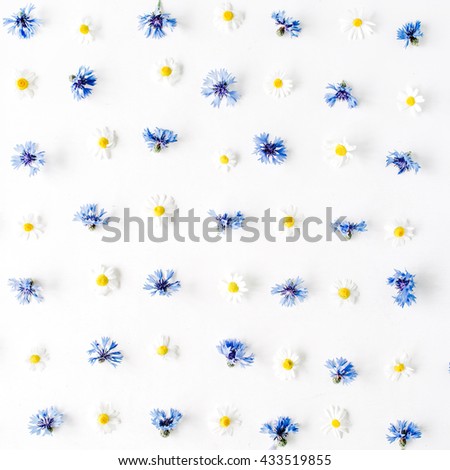 Pattern with cornflowers and chamomile white background. Flat lay, top view