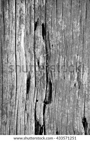 Closeup of wood surface in black and white background.